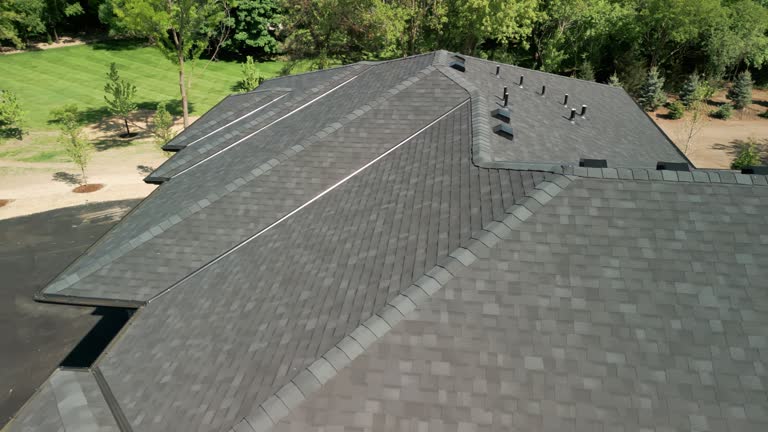 Best Steel Roofing  in Dexter, MI