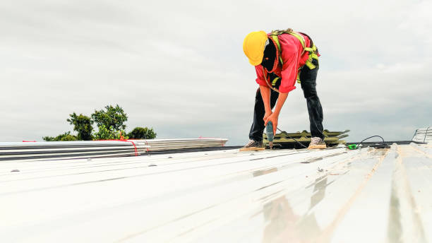 Best Roof Leak Repair  in Dexter, MI