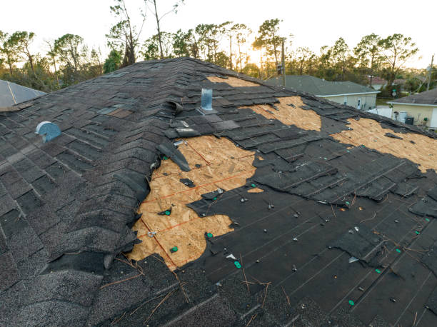 Best Tile Roofing Installation  in Dexter, MI