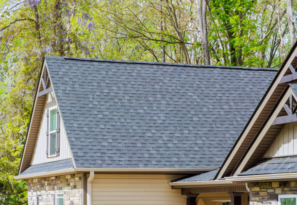 Best Gutter Installation and Repair  in Dexter, MI